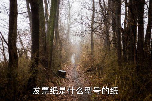 發(fā)票用什么紙，發(fā)票紙是什么型號的紙