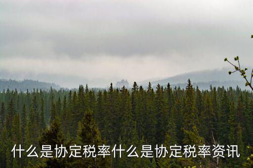 什么是稅收協(xié)定稅率，什么是稅收協(xié)定