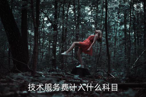 技術(shù)服務(wù)收入計(jì)入什么科目，收到技術(shù)服務(wù)費(fèi)計(jì)入什么科目