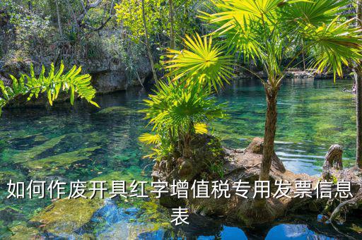 開具紅字信息表撤銷需要什么意思，我是購(gòu)貨方開具紅字信息表錯(cuò)誤去稅務(wù)局撤銷信息表查看描寫