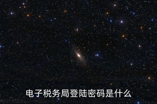 納稅人登路的密碼是什么，國稅第一次網(wǎng)上申報的登陸密碼是什么