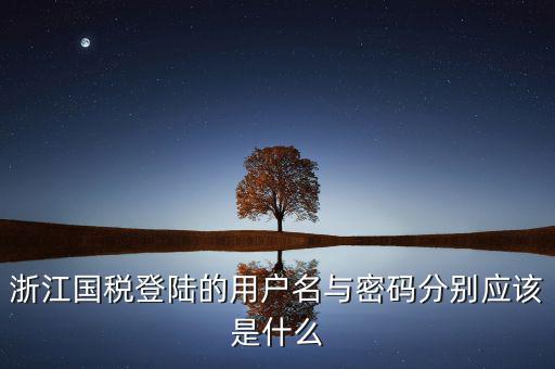 浙江省網(wǎng)上稅務(wù)局賬號是什么，電子稅務(wù)局賬號是什么號碼