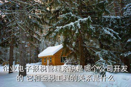 什么是網稅系統(tǒng)，企業(yè)電子報稅管理系統(tǒng)是哪個公司開發(fā)的 它和金稅工程的關系是什么