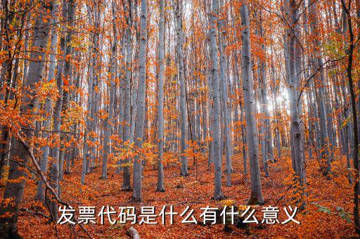 票據(jù)代碼是什么意思，中國航空票證結(jié)算代碼是什么意思