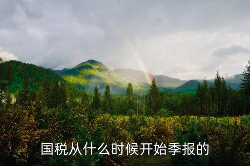 國(guó)稅什么時(shí)間申報(bào)，國(guó)稅從什么時(shí)候開(kāi)始季報(bào)的