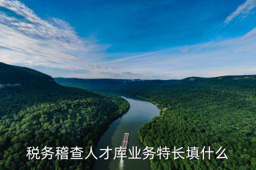 地稅局的人才庫(kù)是什么，地稅局的人具體做什么