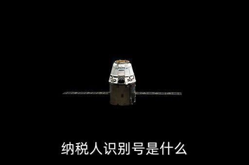 海寧市國家稅務(wù)局認(rèn)別號是什么，納稅人識別號是什么