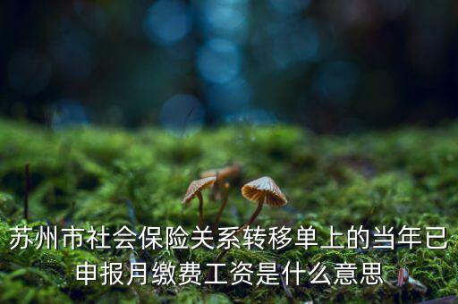 社保已申報(bào)是什么意思，新手求助請(qǐng)問(wèn)網(wǎng)上申報(bào)是什么意思