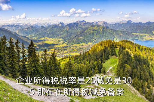 增值稅優(yōu)惠什么備案表，增值稅減免稅備案需要哪些資料
