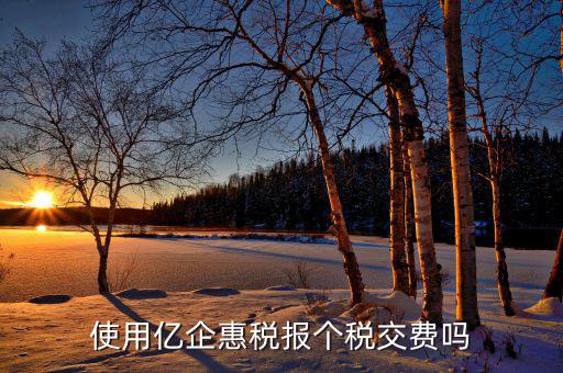 深圳億企惠稅報什么稅，稅友億企惠稅是用來申報地稅還是國稅