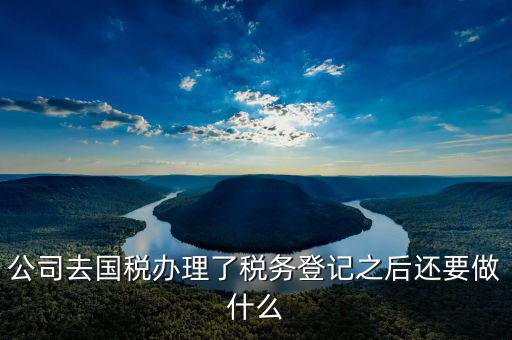 國(guó)稅辦完之后辦什么，公司去國(guó)稅辦理了稅務(wù)登記之后還要做什么