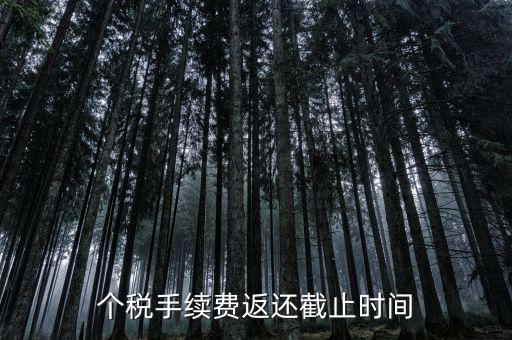 個稅手續(xù)費(fèi)返還什么時(shí)候還，個稅手續(xù)費(fèi)返還時(shí)間