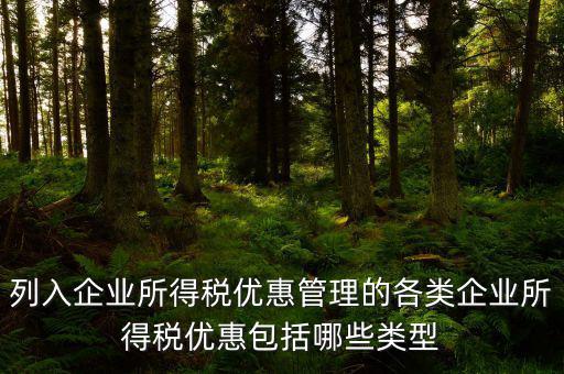 企業(yè)所得稅優(yōu)惠事項名稱指什么，享受企業(yè)所得稅優(yōu)惠申請表中稅收優(yōu)惠事項名稱怎么填