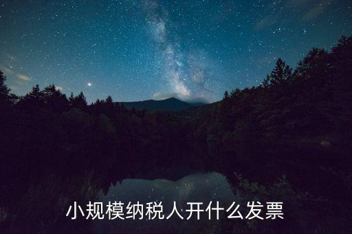 成都小規(guī)模應(yīng)開什么發(fā)票，小規(guī)模納稅人開什么發(fā)票