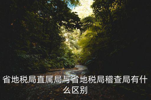 什么是地稅直屬局，國(guó)家稅務(wù)局直屬稅務(wù)分局是什么意思