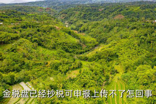 金稅申報(bào)發(fā)送不了是什么原因，金稅盤已經(jīng)抄稅可申報(bào)上傳不了怎回事
