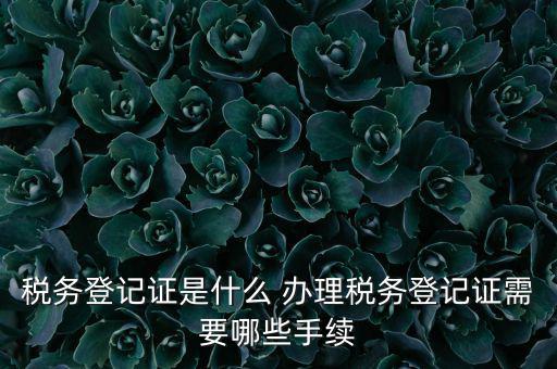 地稅局登記是什么，地稅辦理稅務登記需要哪些資料
