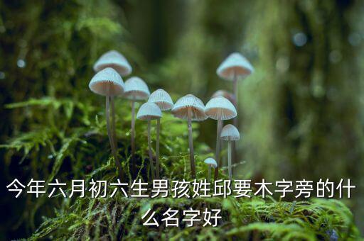 稅什么邱什么的名字，孩子姓邱該取什么名字呢男女都行