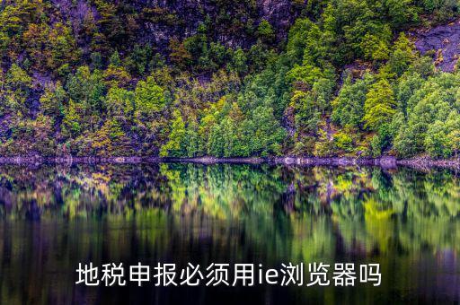 用什么瀏覽器申報(bào)山東地稅，地稅申報(bào)必須用ie瀏覽器嗎