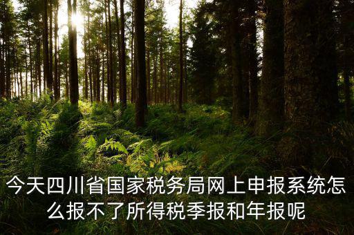 今天四川省國家稅務局網上申報系統(tǒng)怎么報不了所得稅季報和年報呢