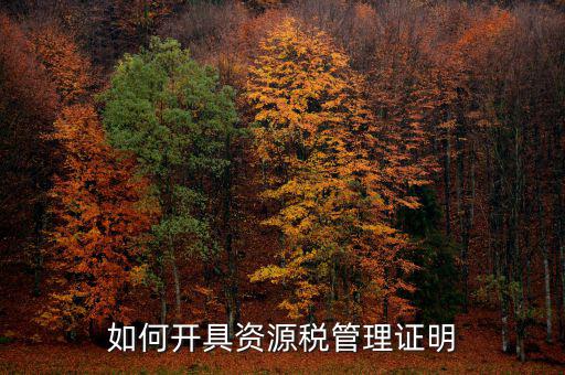 資源稅乙種證明要什么資料，混凝土公司購(gòu)買(mǎi)砂石需要開(kāi)具資源稅乙種證明嗎
