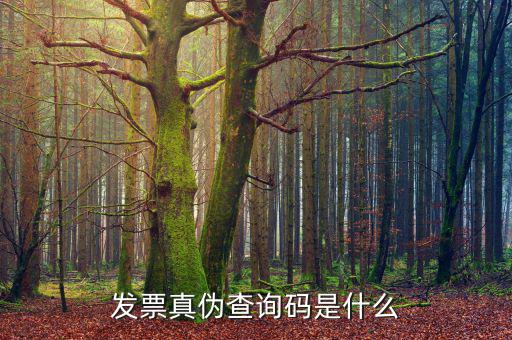 定額發(fā)票真?zhèn)尾樵兲?hào)是什么，發(fā)票真?zhèn)尾樵兇a是什么