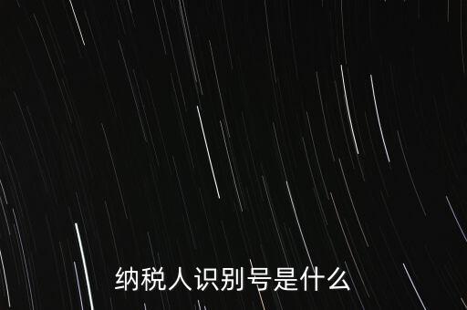 電子稅務局納稅人識別號是什么，納稅人識別號是什么