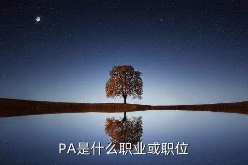 河南省國(guó)稅局陳紅偉什么職務(wù)，PA是什么職業(yè)或職位