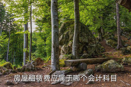 租房費(fèi)用計(jì)入什么科目，房屋租賃費(fèi)應(yīng)屬于哪個(gè)會(huì)計(jì)科目