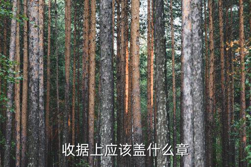 收據(jù)應(yīng)蓋什么章，收據(jù)蓋什么章有規(guī)定嗎