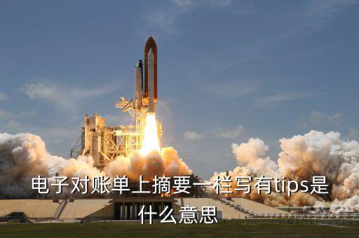 國稅tips系統(tǒng)指什么，電子對(duì)賬單上摘要一欄寫有tips是什么意思