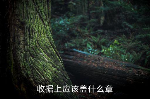 收據(jù)上應該蓋什么章