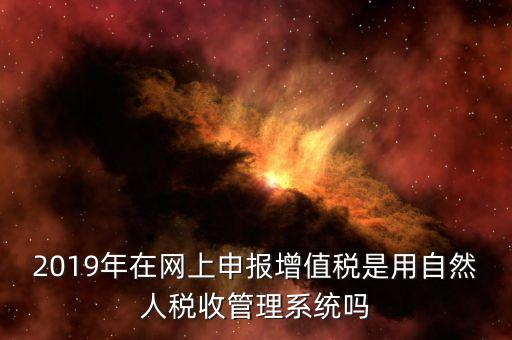 什么是增值稅管理系統(tǒng)，2019年在網(wǎng)上申報增值稅是用自然人稅收管理系統(tǒng)嗎