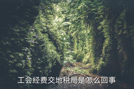 工會經費交地稅局是怎么回事