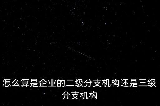 什么叫企業(yè)二級(jí)分支機(jī)構(gòu)，現(xiàn)在分公司要辦稅務(wù)登記證但是我想問一下二級(jí)分機(jī)構(gòu)指的是