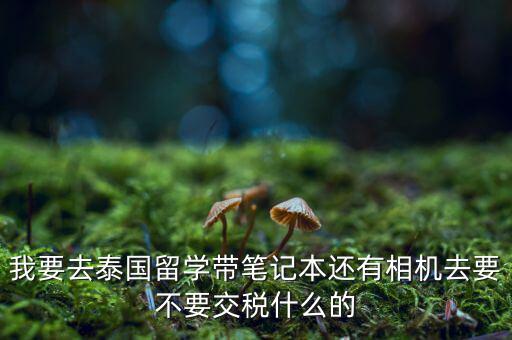 泰國什么人需要納稅，我要去泰國留學(xué)帶筆記本還有相機(jī)去要不要交稅什么的