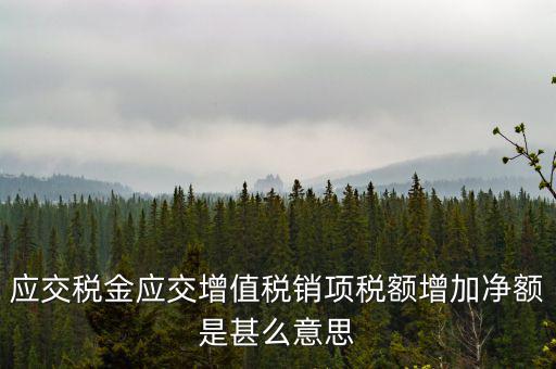 稅額增長點(diǎn)是什么意思，應(yīng)交稅金應(yīng)交增值稅銷項(xiàng)稅額增加凈額是甚么意思