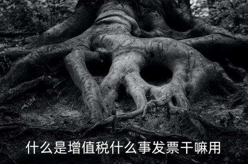什么是增值發(fā)票，什么是增值發(fā)票