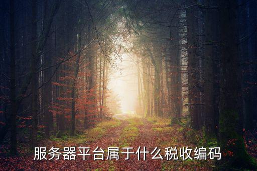 稅收服務(wù)編碼是什么，什么是稅收編碼