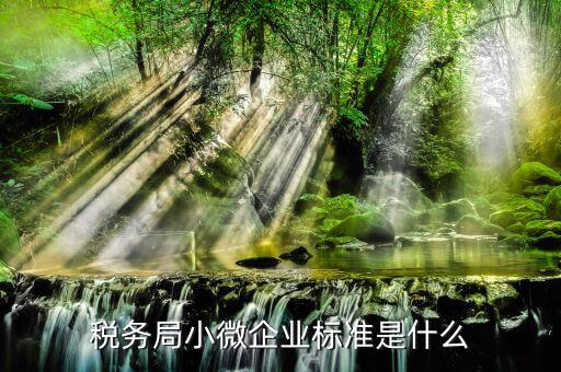 稅務(wù)界定什么是小微企業(yè)標(biāo)準(zhǔn)，企業(yè)所得稅小型微利企業(yè)標(biāo)準(zhǔn)是什么