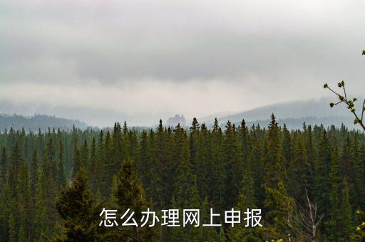 航天數(shù)字證書是什么，機(jī)打發(fā)票上顯示輸入正確的數(shù)字證書怎么回事