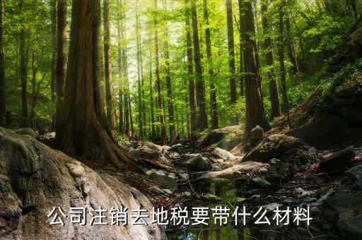 注銷地稅需要帶什么資料，公司注銷去地稅要帶什么材料