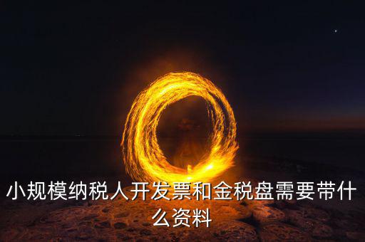 辦稅盤(pán)需要什么資料，去稅務(wù)局辦理稅控盤(pán)需要什么資料流程怎么走呢