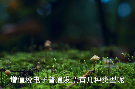 普通發(fā)票有什么種類，發(fā)票分幾種