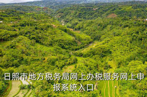 日照?qǐng)?bào)稅的網(wǎng)址是什么意思，網(wǎng)上報(bào)稅在哪個(gè)網(wǎng)站
