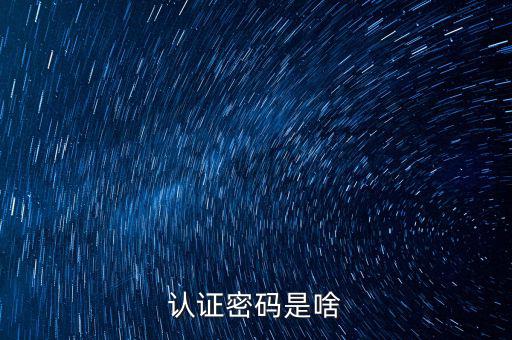 網(wǎng)上認(rèn)證的密碼是什么意思啊，市民身份證手機(jī)認(rèn)證服務(wù)密碼是什么意思在線等急