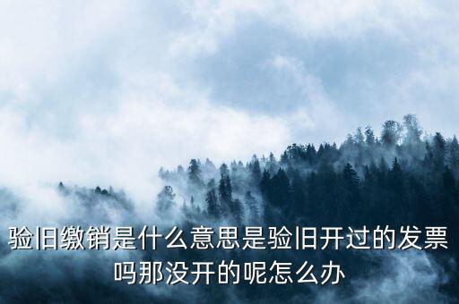 發(fā)票驗舊繳銷是什么意思，發(fā)票驗舊是什么意思