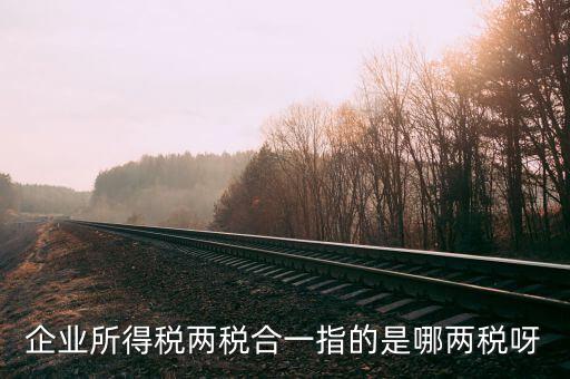 兩稅兩費(fèi)是什么，房地產(chǎn)投資經(jīng)營(yíng)過(guò)程中企業(yè)納稅的兩稅一費(fèi)是指什么