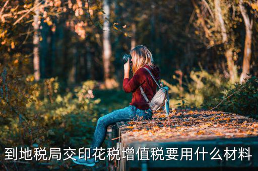 賬簿印花稅去地稅買要帶什么資料，購(gòu)買印花稅帶什么資料