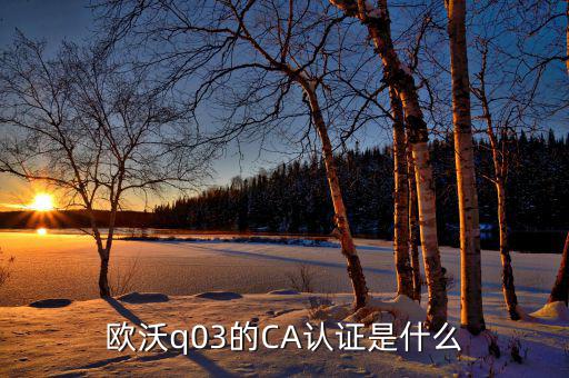 ca認(rèn)證密碼是什么情況，歐沃q03的CA認(rèn)證是什么